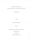 PROPUESTA PSICOSOCIAL DE LA CONTAMICACION DE LAS BASURAS