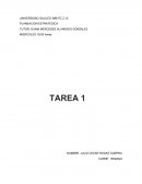 TUTOR: DUNIA MERCEDES ALVARADO GONZALEZ