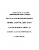 LA CRISIS FINANCIERA Y SU IMPACTO EN MÉXICO