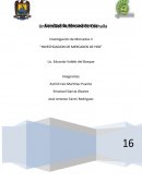 LA “INVESTIGACION DE MERCADOS DE HEB”