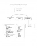 Organizacion cultura ETAPA.