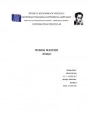 COORDINACIÓN DE PREESCOLAR TECNICAS DE ESTUDIO