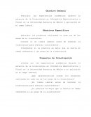 Metodologia Objetivo General