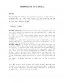 Determinación de escala