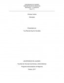 Programa Administración de Negocios. RUSTICOS COLOMBIA