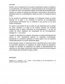 Microorganismos- Discusión