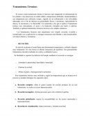 Tratamiento termico.