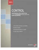 Empresa “BioIdeas” Definición de Control