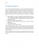 Estrategia de negocios.