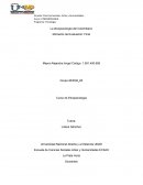 Trabajo final Etnopsicologia