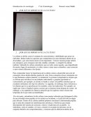 Observación Participante.