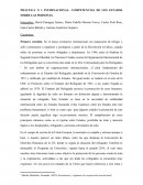 Práctica I. DIP II.