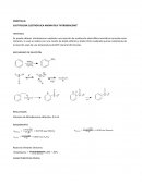 OBTENCIÓN DE 2,4-DINITROCLOROBENCENO.