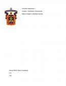 Este ensayo, tratará sobre el ¨México Indígena. Identidad nacional¨