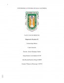 Farmacologia “Reporte de Practica #2”.