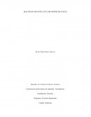 Mailtrato infantil y sus modalidades