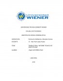 TRABAJO FINAL “INFORME TECNICO DE GRAFOTECNIA”