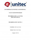 DESARROLLO DE LA CULTURA ORGANIZACIONAL DESARROLLO DE CASO NO. 1
