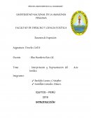Interpretación y Representación del Acto Jurídico