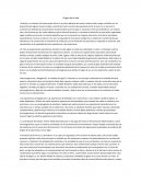 Origen de la Vida. Viviente y no viviente