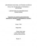 Parásitos gastrointestinales, respiratorios, hemáticos y ectoparásitos en cerdos y caballos