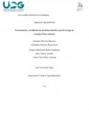 Fermentación y destilación de alcohol producido a partir de jugo de naranja (Citrus sinensis).