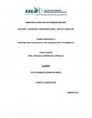 Liderazgo para las personas y las organizaciones. Investigación..