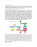 Grupos sanguíneos prac- Comprender el concepto de grupo sanguíneo a través de la determinación por reacción de aglutinación de los grupos sanguíneos ABO y Rh de los alumnos, para relacionarlos con los tipos sanguíneos más frecuentes en la poblaci