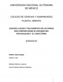 ANALISIS, CAUSAS Y TRATAMIENTO DE LAS FOBIAS MÁS COMUNES DESDE EL ENFOQUE DEL PSICOANALISIS Y EL CODUCTISMO