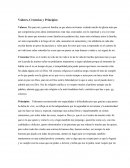 Valores, Creencias y Principios