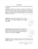 EXTRACCIÓN DE ESPINACA- 1.- Mencione de qué naturaleza química son cada uno de los pigmentos extraídos en la práctica.