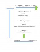 Análisis fisicoquímicos y bioquímicos en leche bronca