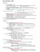 Nominativo con Infinitivo (Nominativus cum infinitivo): Verbos instransitivos (videor – parecer)