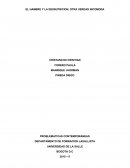 EL HAMBRE Y LA DESNUTRICION, OTRA VERDAD INCOMODA.