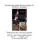 Reporte del libro: Por trece razones