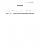 Analisis del Pez que no quiso Evolucionar.