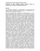 Geoquimica de las Lutitas Negras.