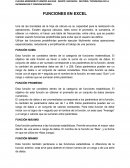 Una de las bondades de la hoja de cálculo es su capacidad para la realización de operaciones. Existen algunos cálculos, tales como el promedio, la sumatoria