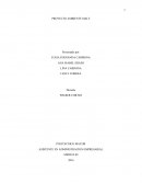 EL GRAN ASISTENTE EN ADMINISTRACION EMPRESARIAL.