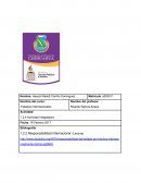 En el presente ensayo se describirá a la responsabilidad internacional como institución y su importancia