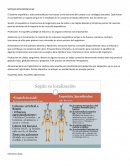 SISTEMA OSTEOMOSCULAR
