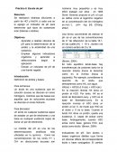 Se realizaron distintas diluciones a partir de HCl y NaOH; a cada una se le agregó un indicador de pH para determinar qué tipos de sustancias eran (básicas o ácidas).