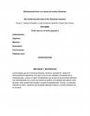 MÉTODOS Y MATERIALES