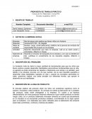 DESCRIPCIÓN DE LA IDEA DE PRODUCTO