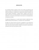 TEORÍAS DE ENFERMERÍA.