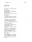 ¿Qué se entiende por transacciones? Explique los diversos