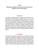 Mantequilla y Margarina ¿Cuál consumó, cual es mala para el organismo, cual es la más nutritiva?