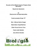 Reporte de laboratorio #1 Observacion de Espermatozoides
