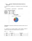 ¿Cuándo tiene un problema con un neumático de su auto. que tipo de gato utiliza?