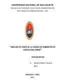 Analisis de fases de la cadena de suministro de avicola San Jorge